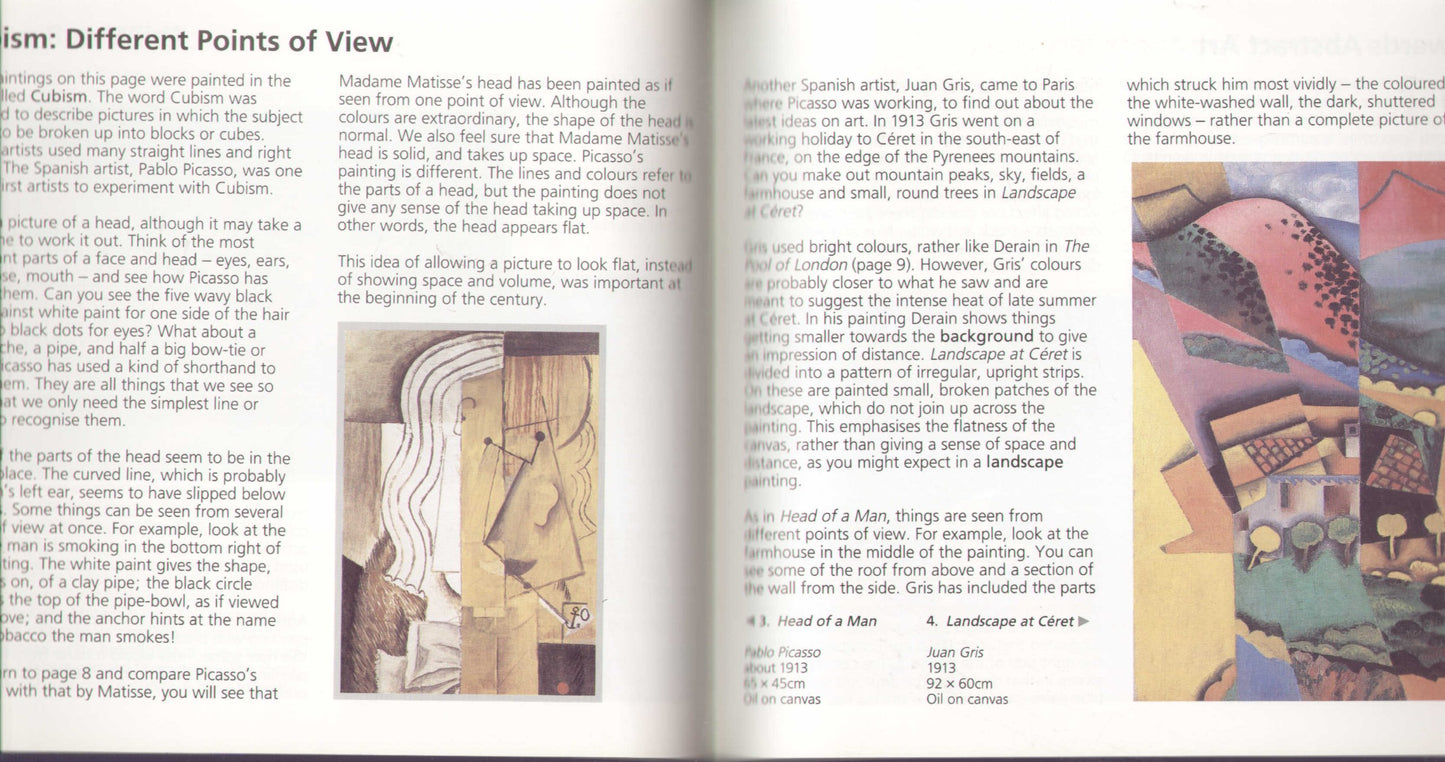 Picture This Century Pb Woolf, Felicity