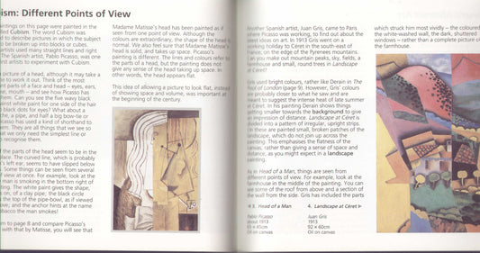 Picture This Century Pb Woolf, Felicity