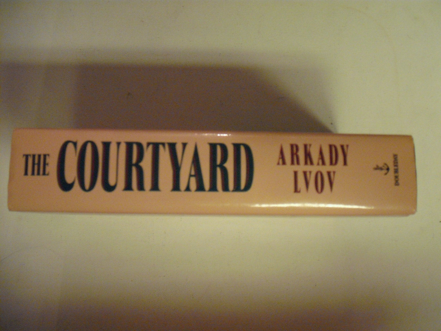 Courtyard, The [Hardcover] Lvov, Arkady