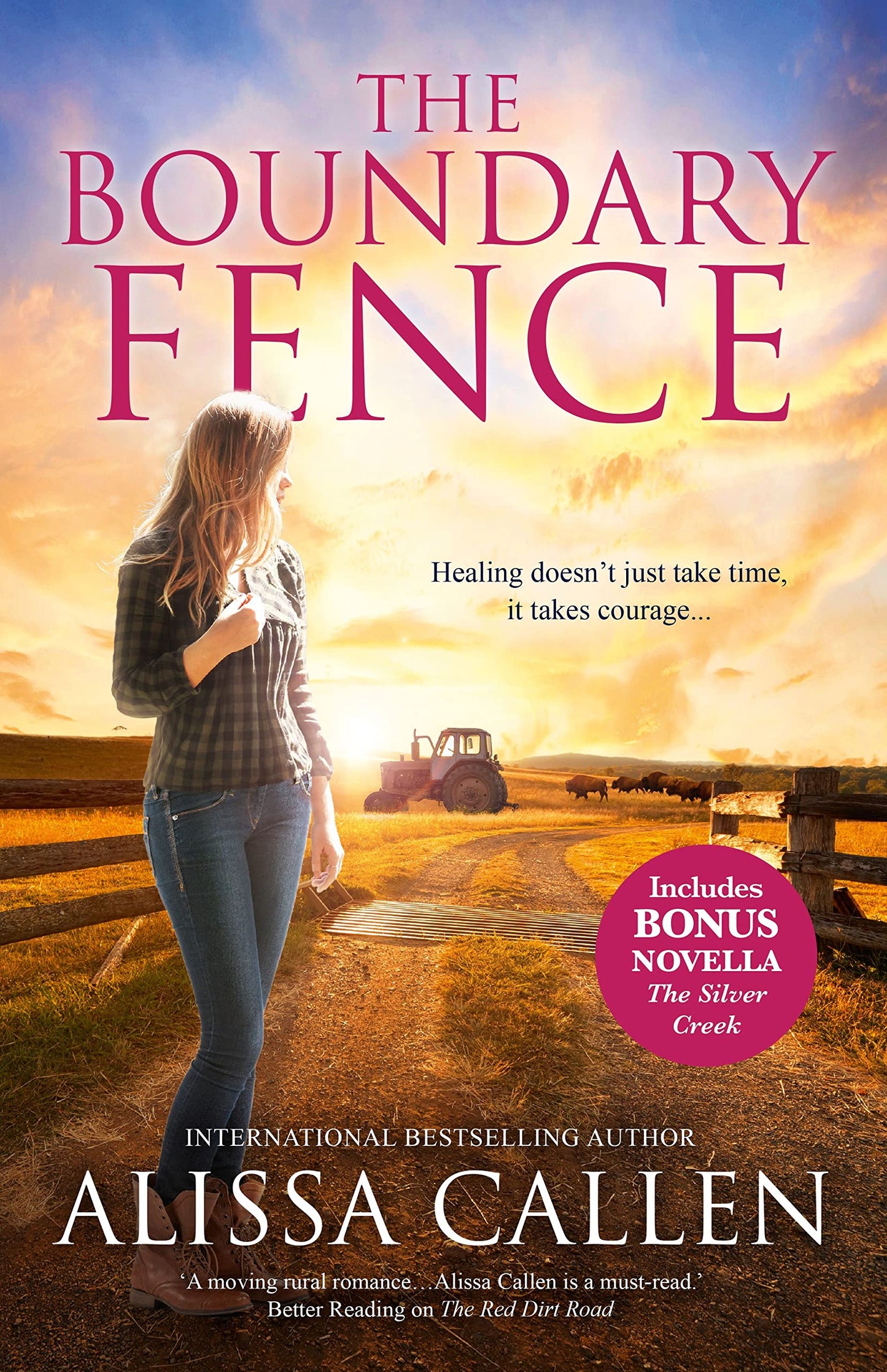 The Boundary Fence/The Boundary Fence/The Silver Creek [Paperback] Callen, Alissa
