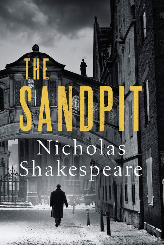 The Sandpit [Paperback] Shakespeare, Nicholas