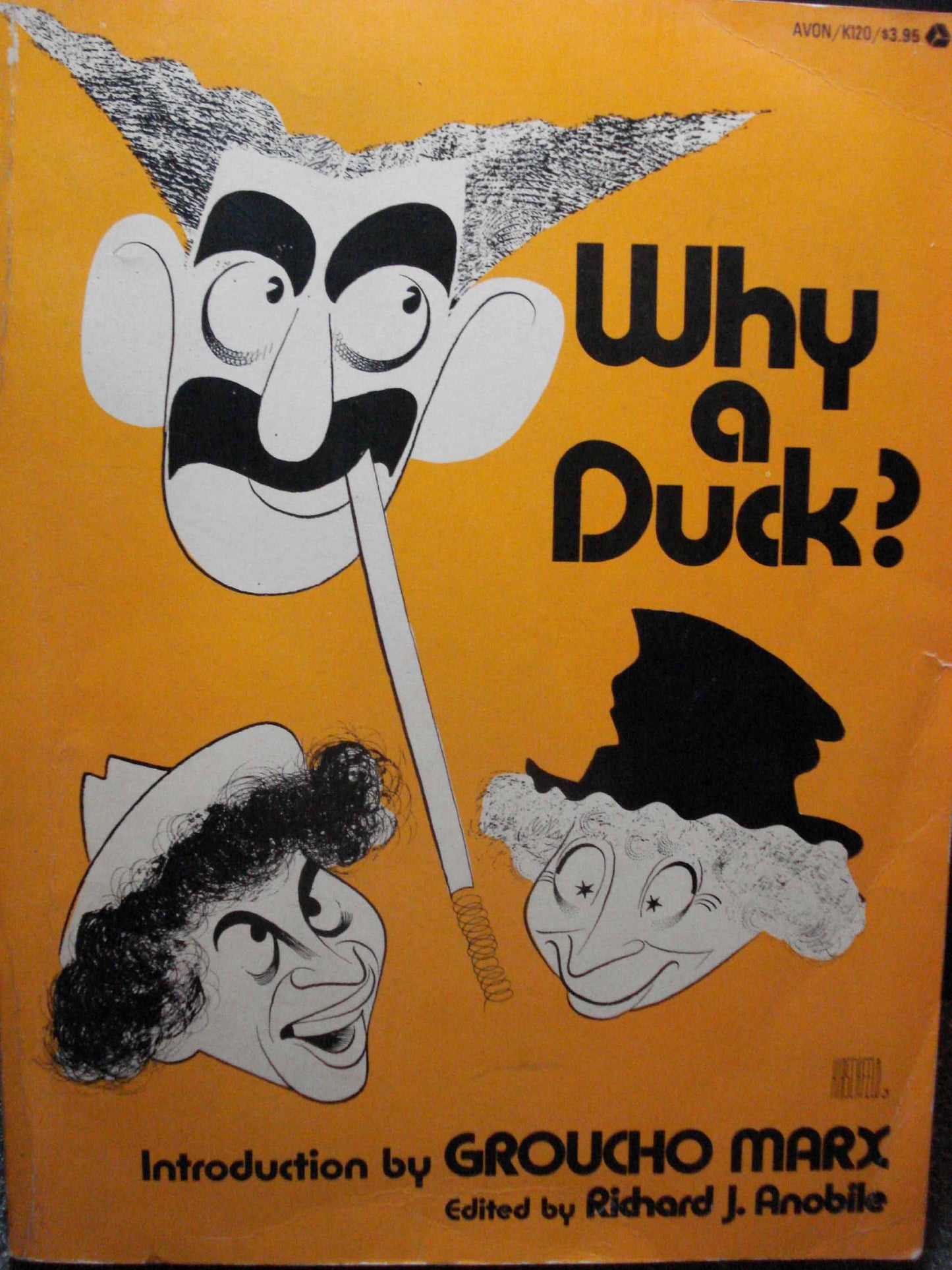 Why a Duck?: Visual and Verbal Gems from the Marx Brothers Movies Anobile, Richard J.