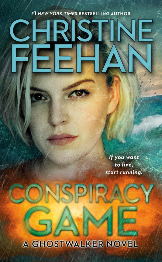 Conspiracy Game: 4 [Mass Market Paperback] Feehan, Christine