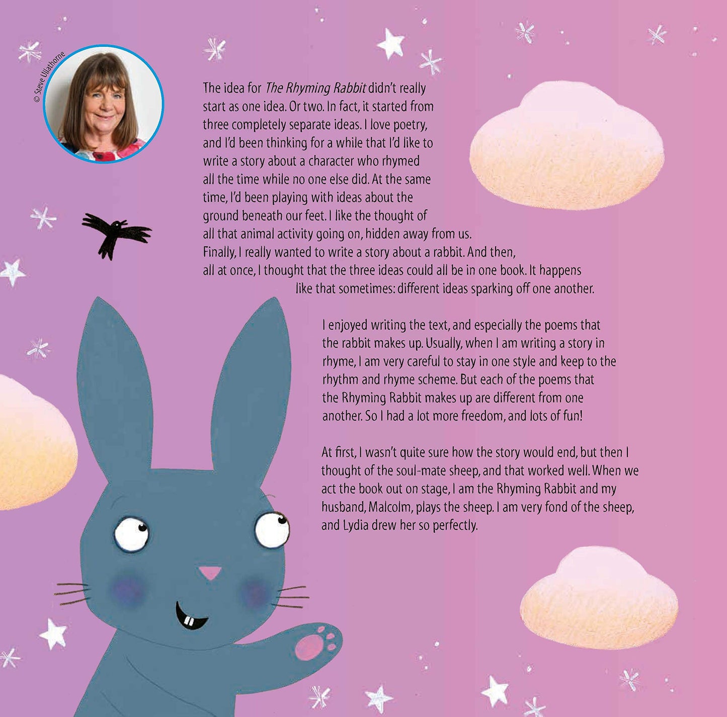 The Rhyming Rabbit 10th Anniversary Edition Donaldson, Julia and Monks, Lydia
