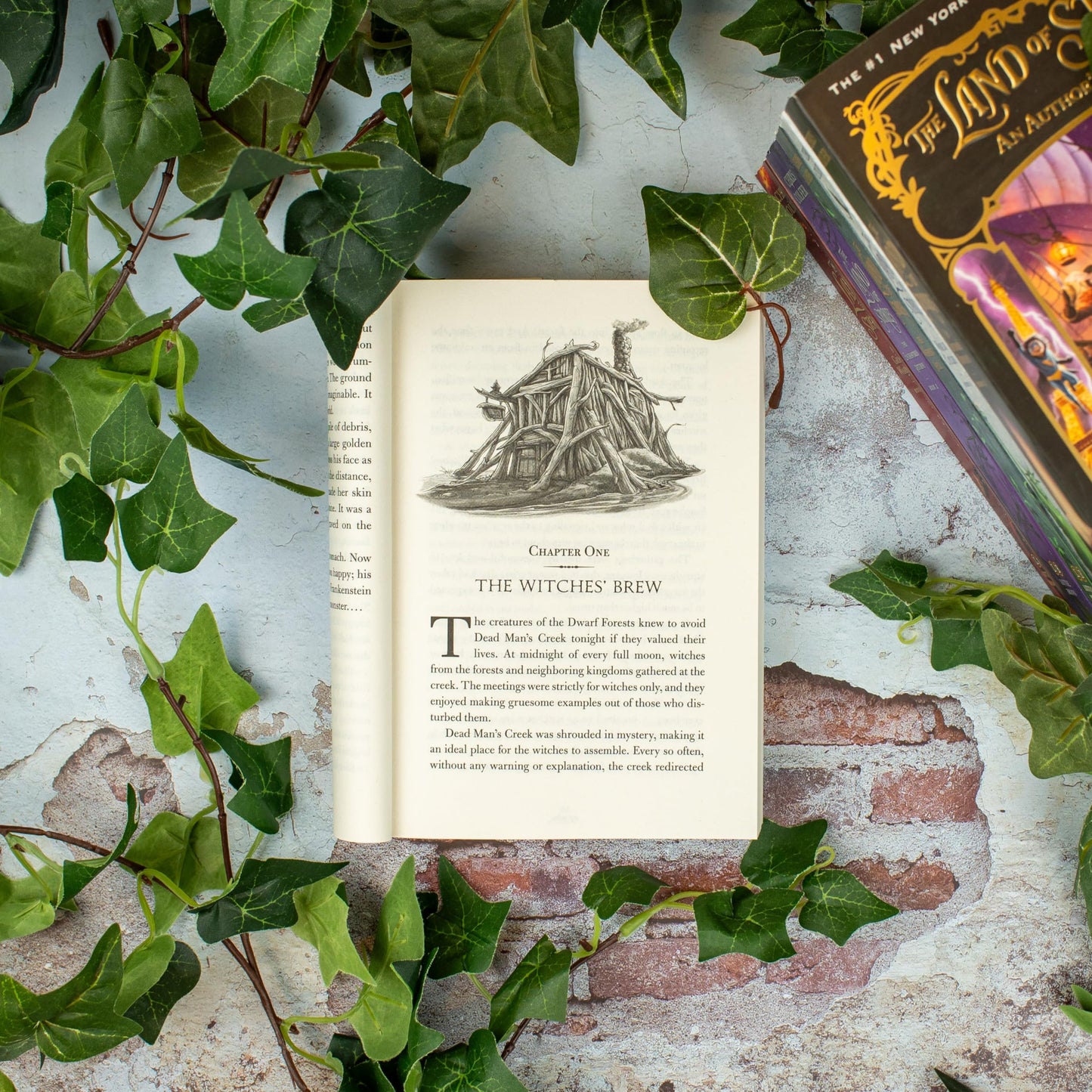 The Land of Stories: Beyond the Kingdoms: 4