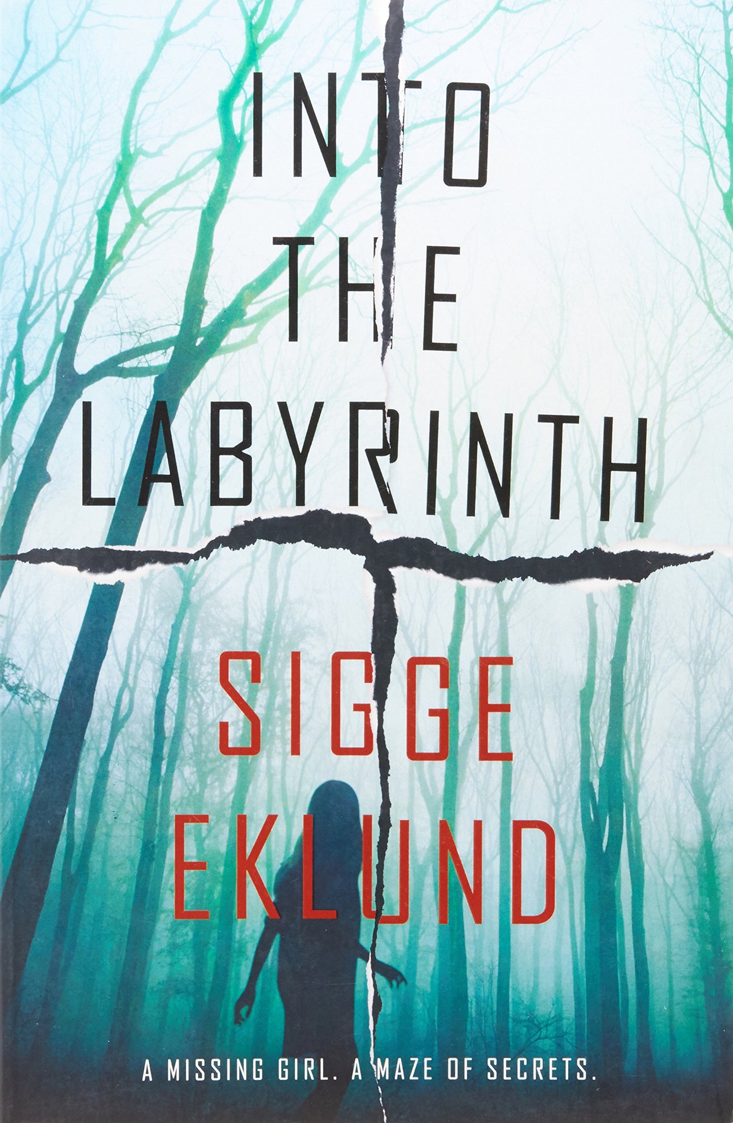 Into the Labyrinth
