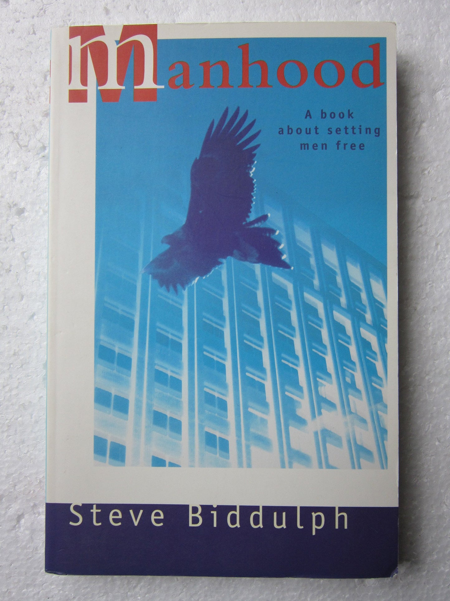 Manhood: A Book about Setting Men Free by Steve Biddulph [Paperback] [Paperback]