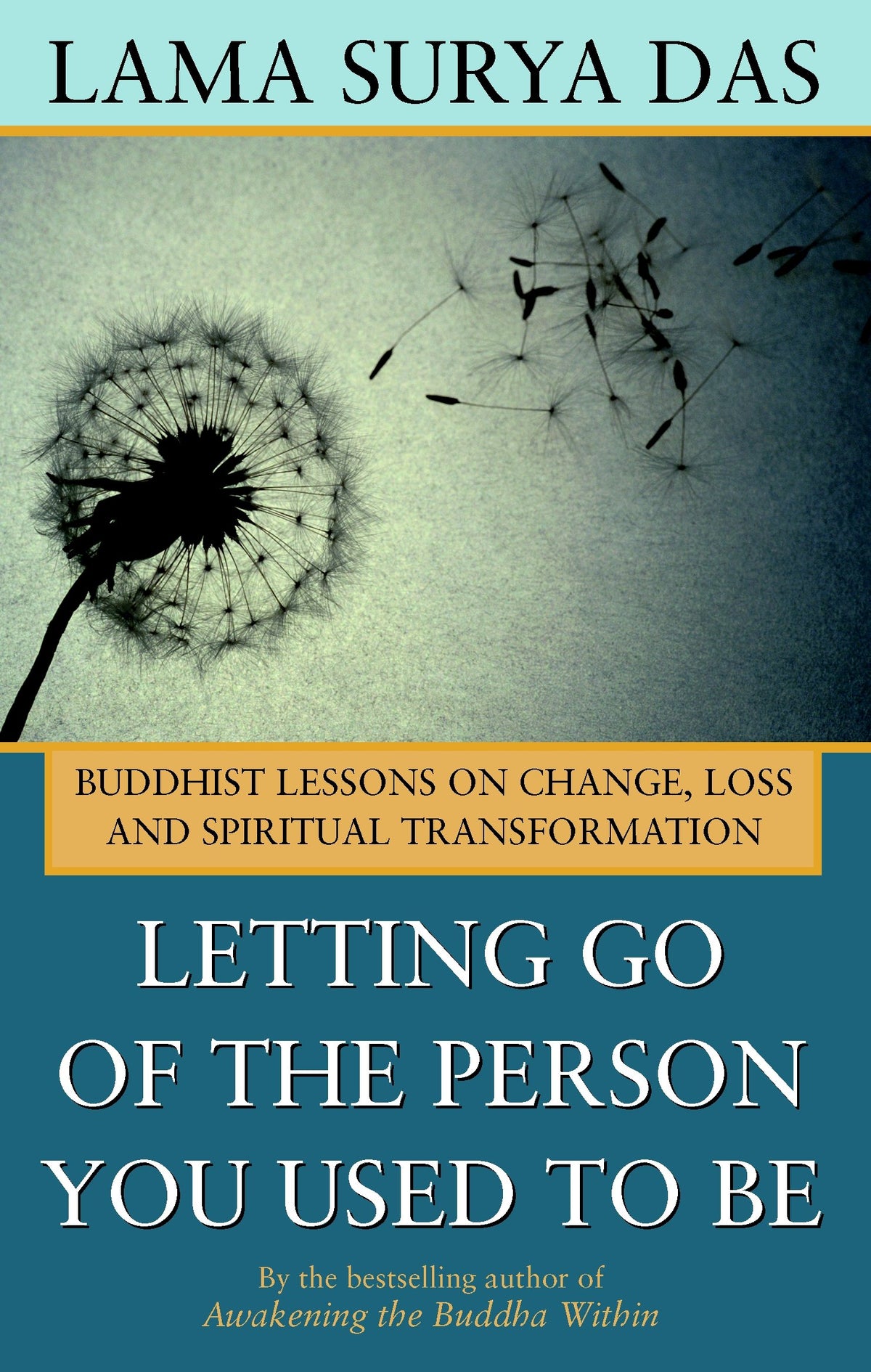 Letting Go of the Person You Used to Be: Buddhist Lessons on Change, Loss and Spiritual Transformation