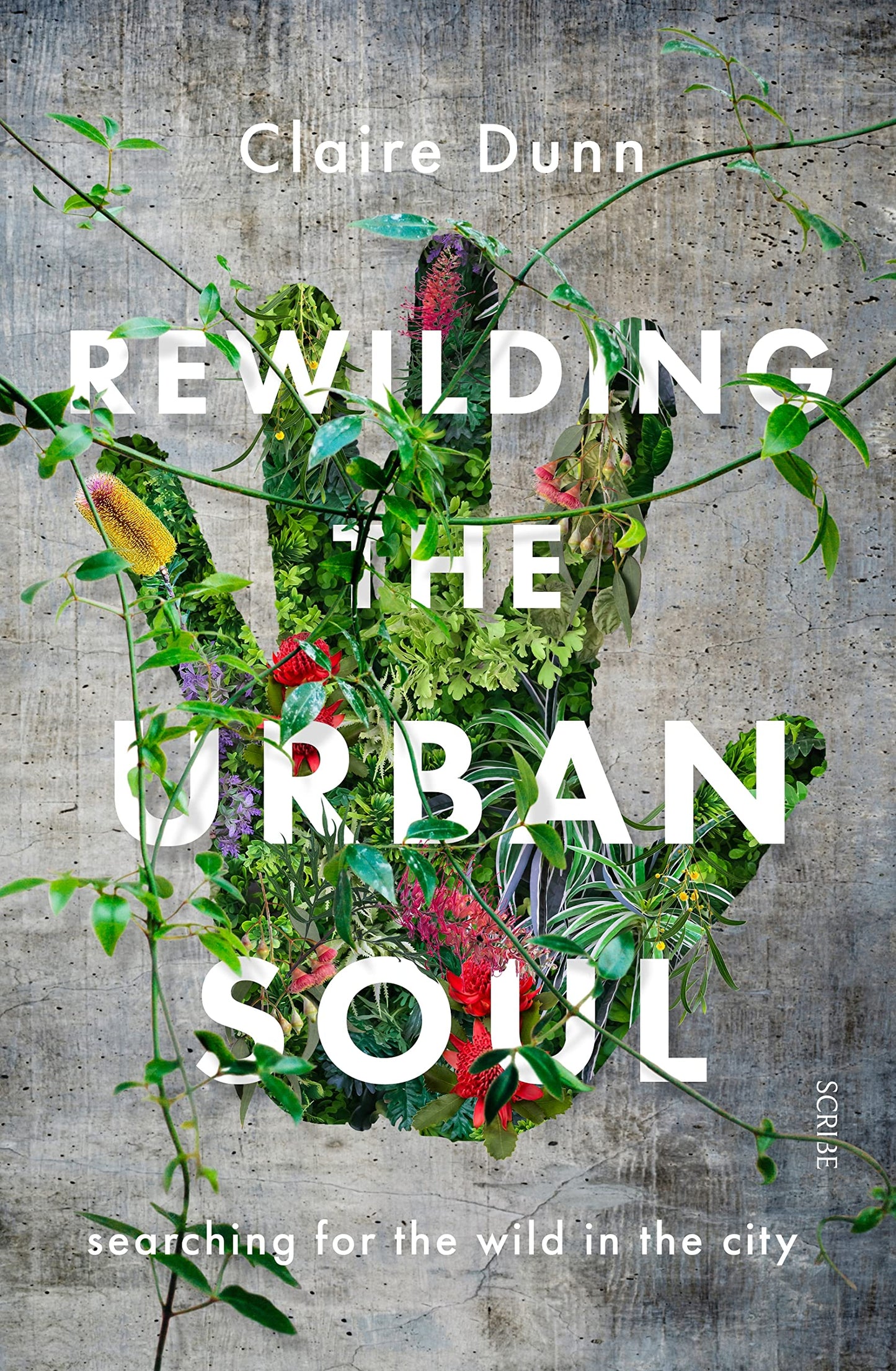 Rewilding the Urban Soul: searching for the wild in the city [Paperback] Dunn, Claire