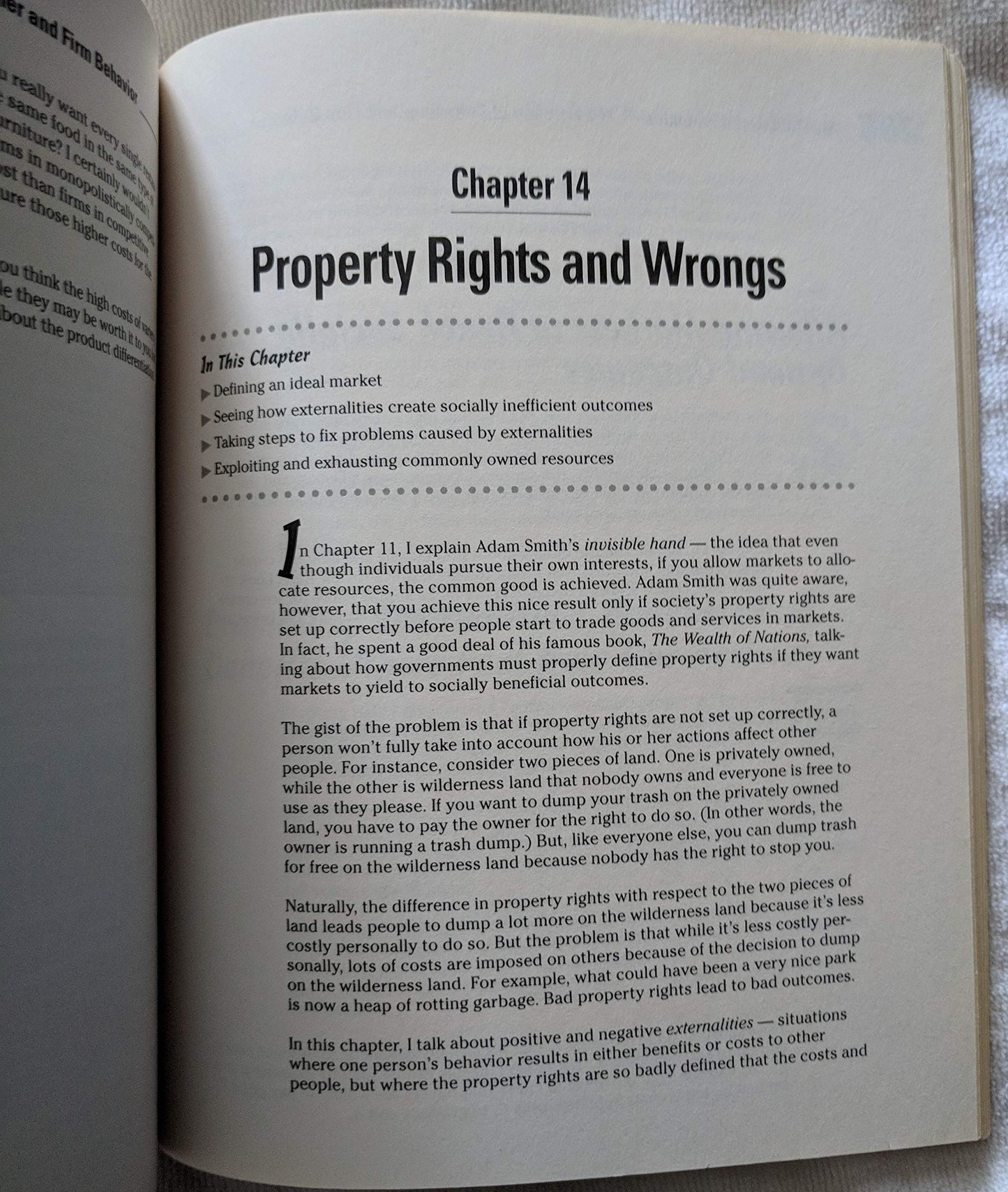 Economics For Dummies? Flynn, Sean Masaki