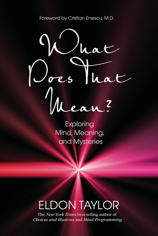 What Does that Mean? Exploring Mind, Meaning and Mysteries [Hardcover] Taylor, Eldon