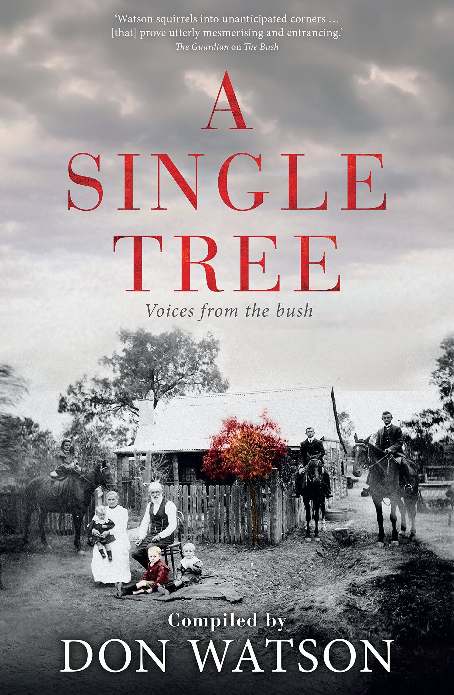 A Single Tree [Hardcover] Watson, Don