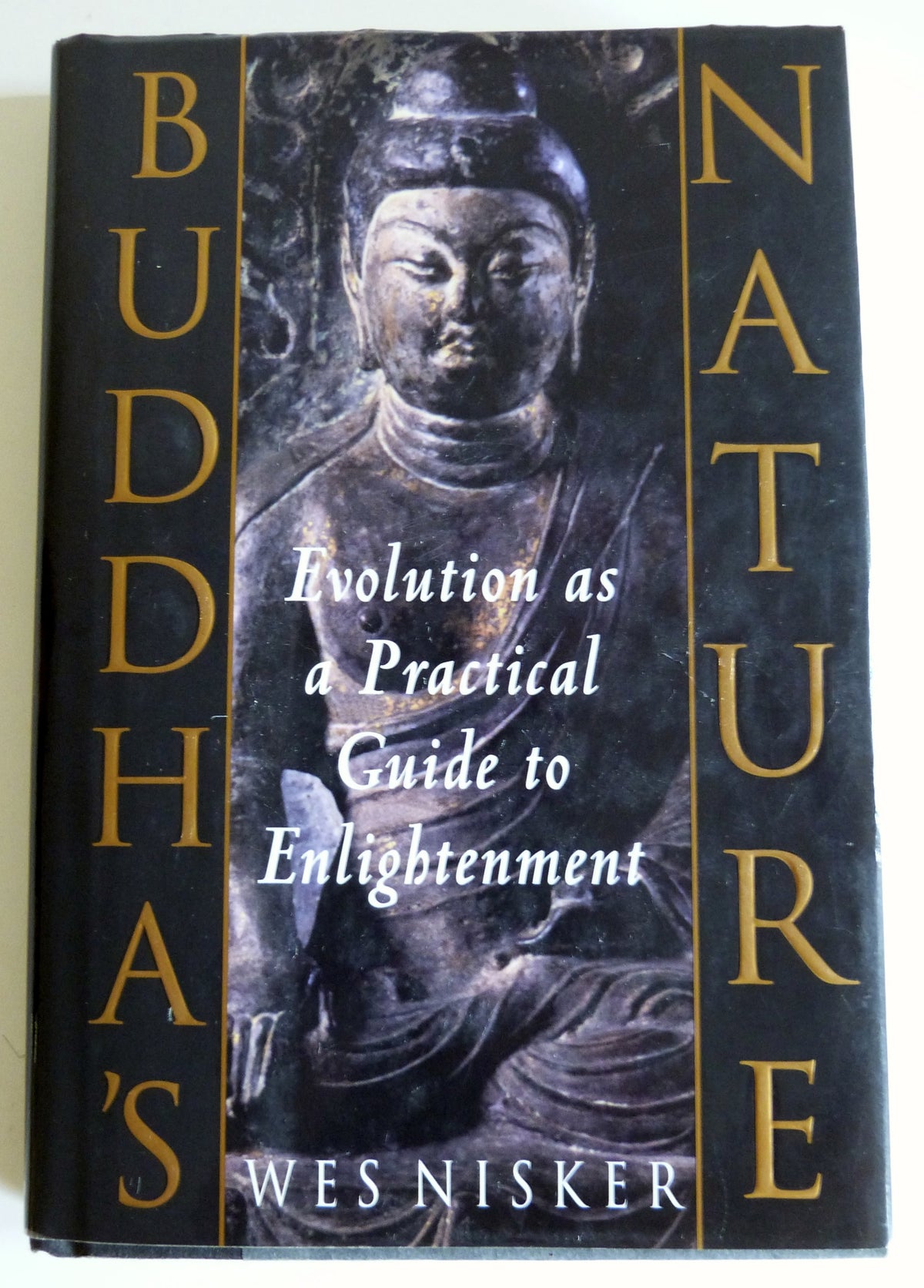 Buddha's Nature