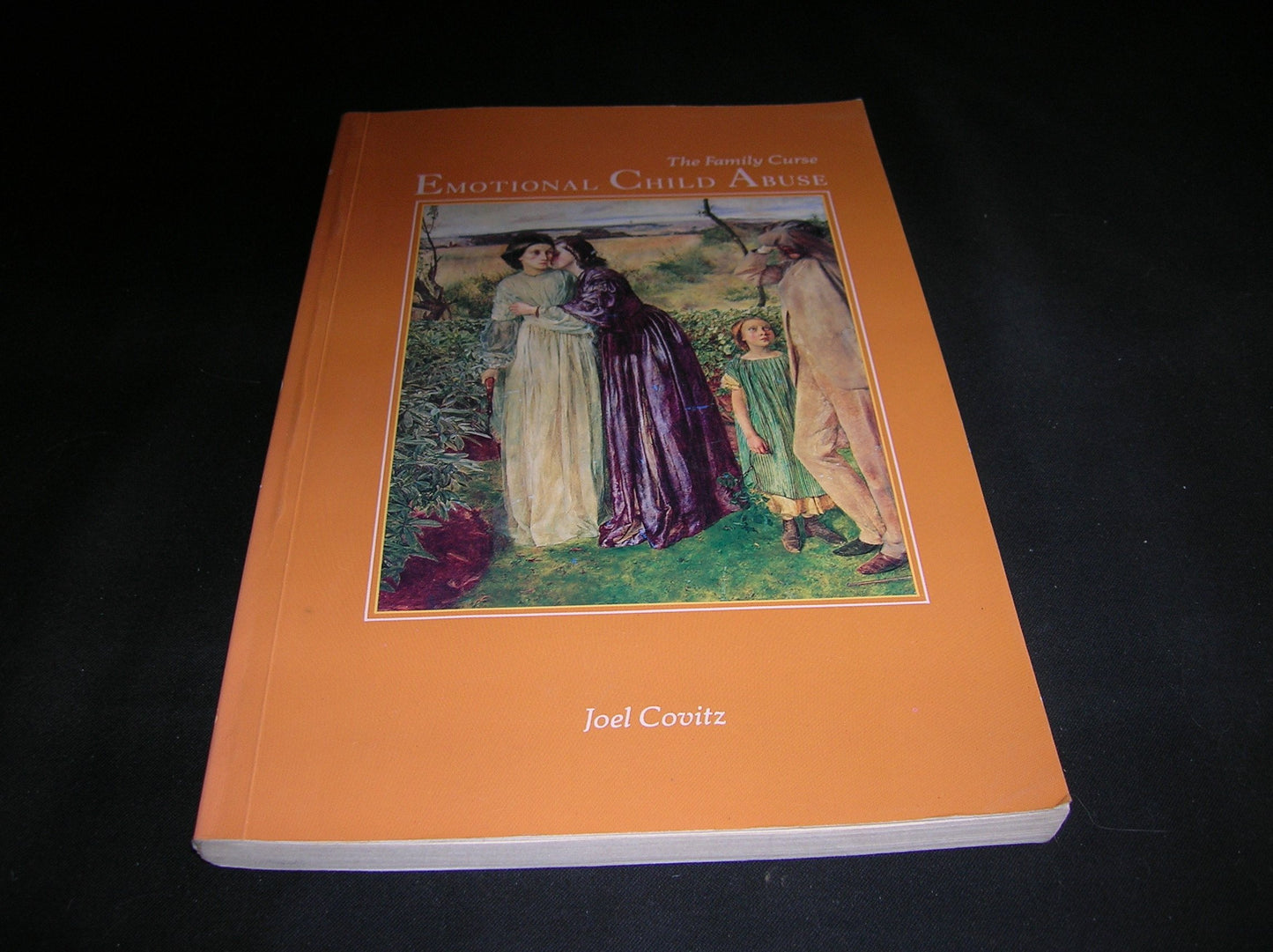 Emotional Child Abuse: The Family Curse Covitz, Joel