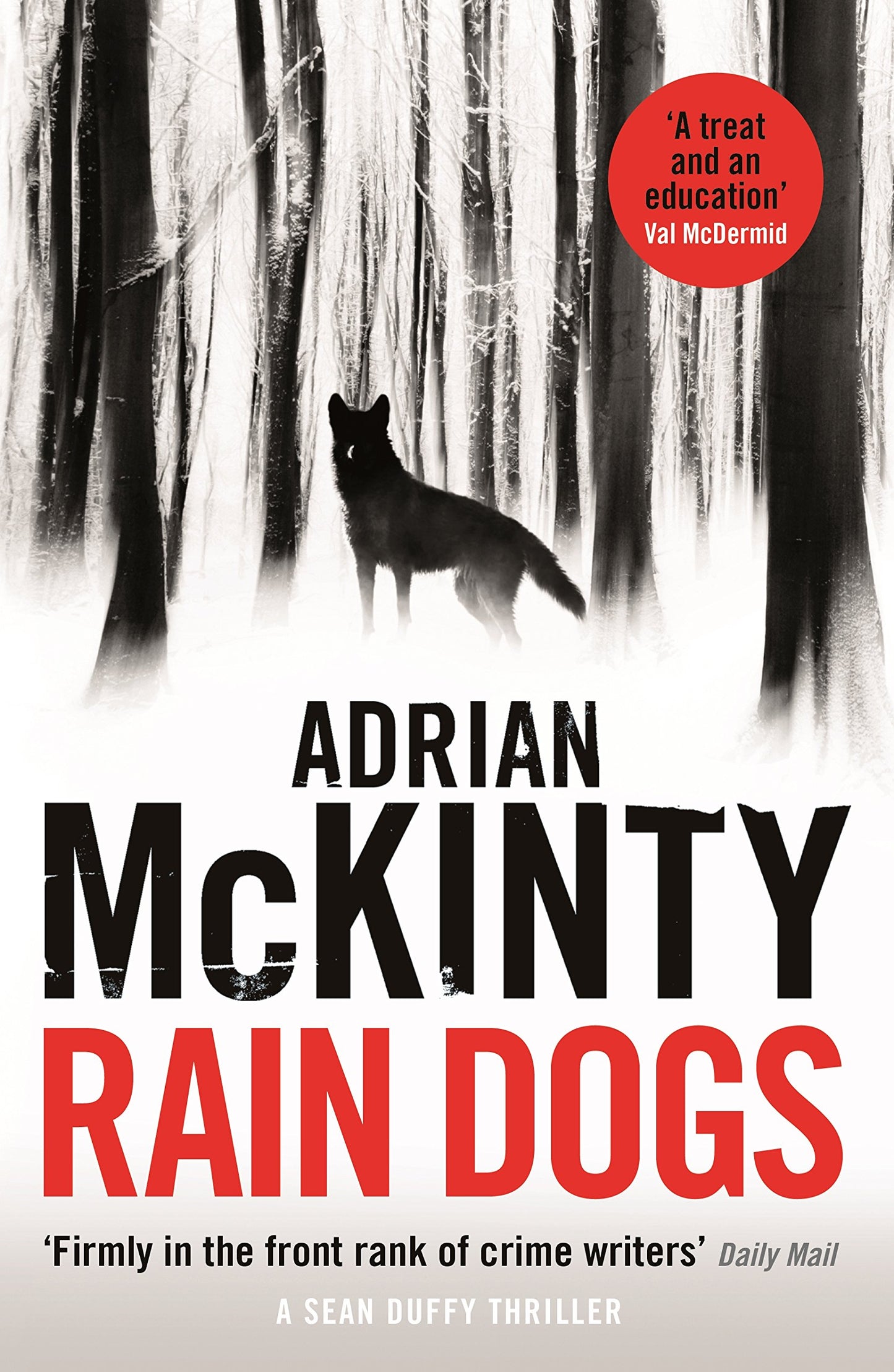 Rain Dogs (Sean Duffy 5)
