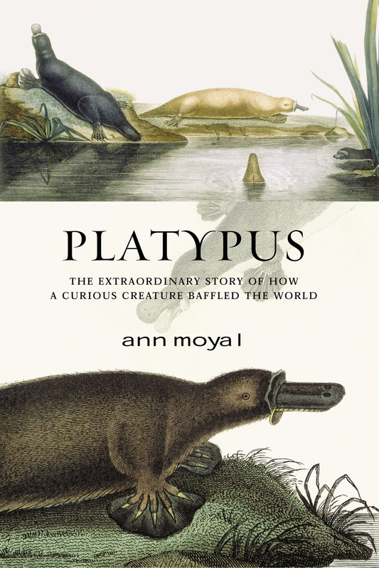 Platypus Moyal, Ann