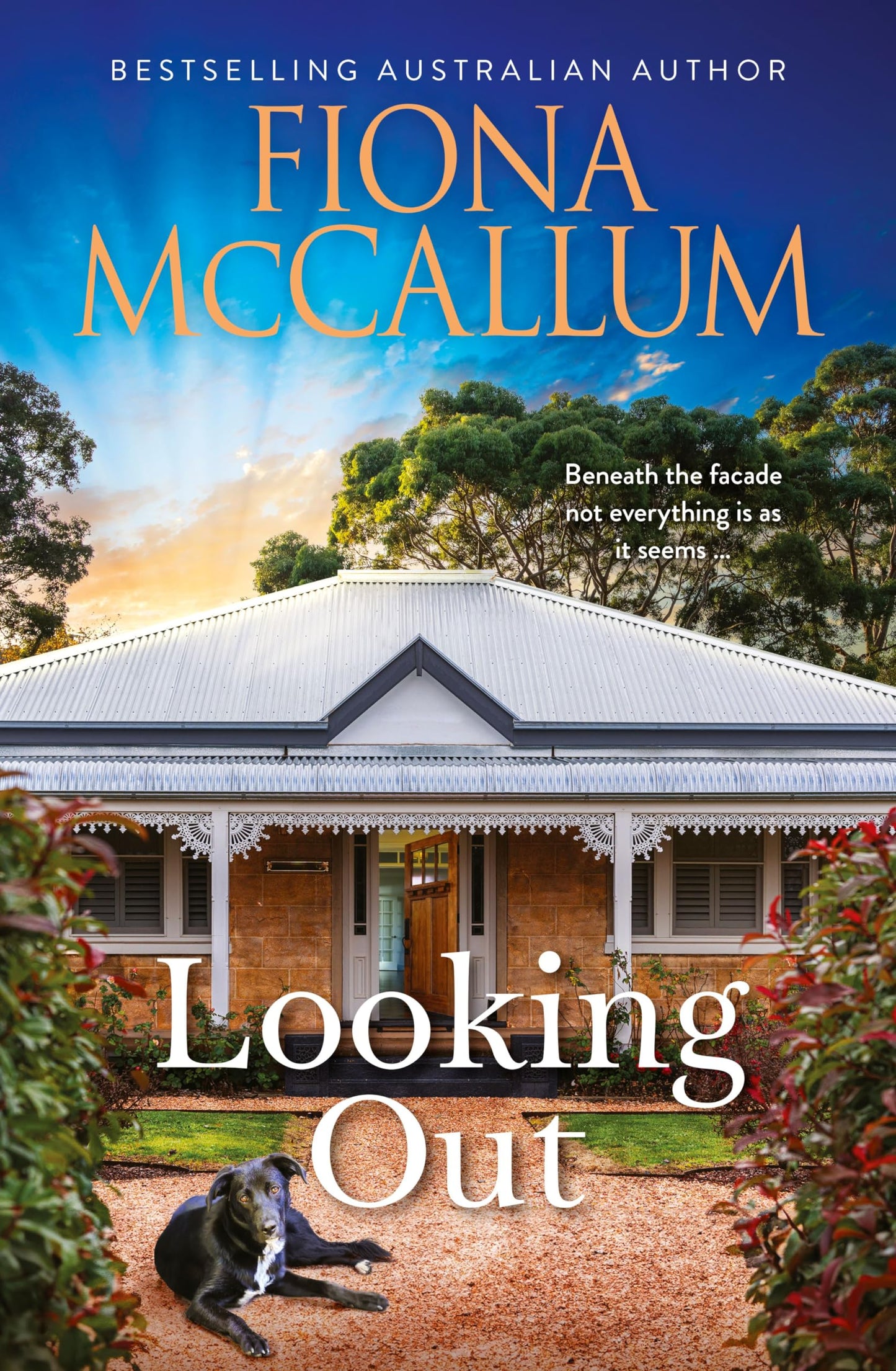 Looking Out [Paperback] McCallum, Fiona
