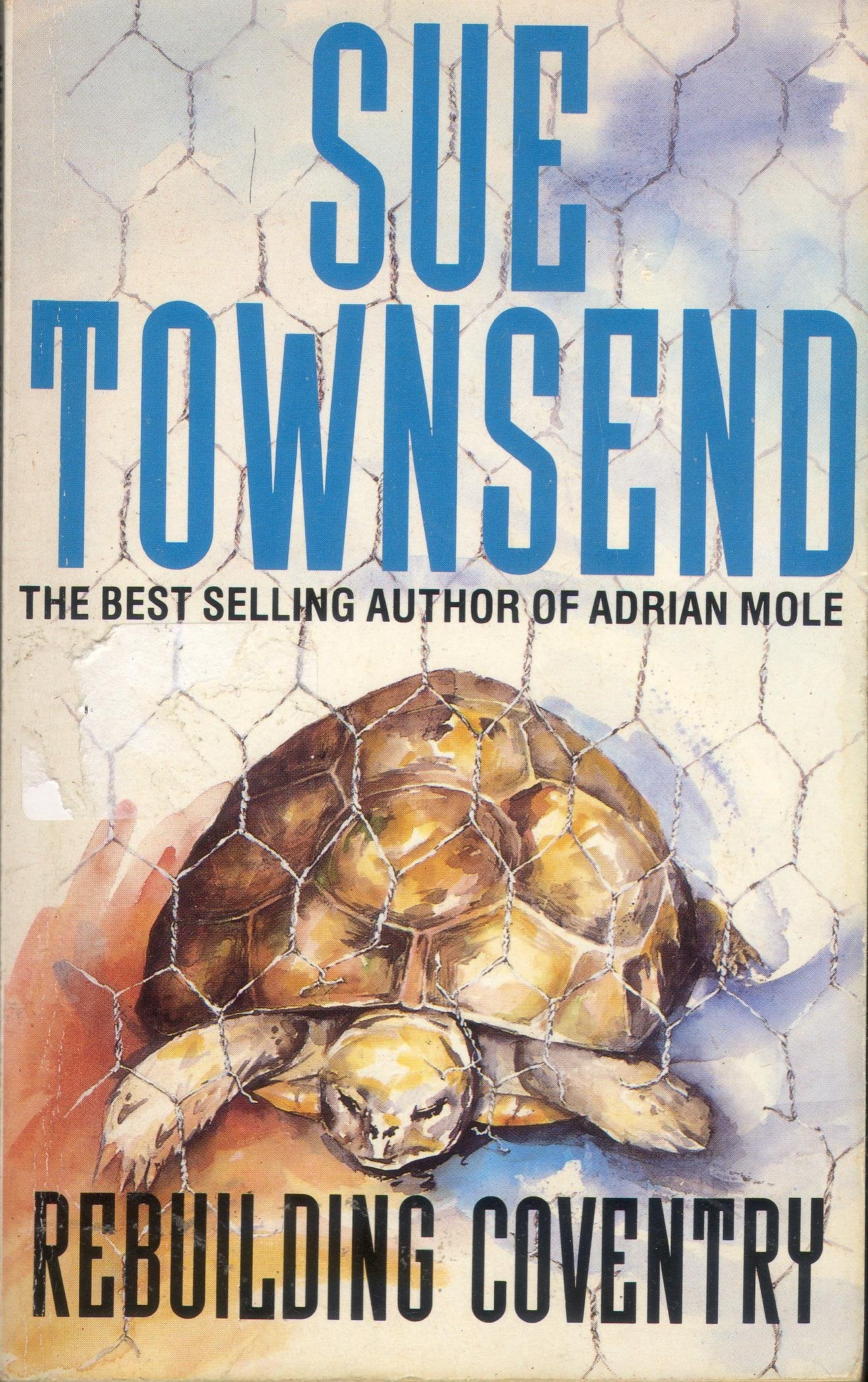 Rebuilding Coventry Townsend, Sue