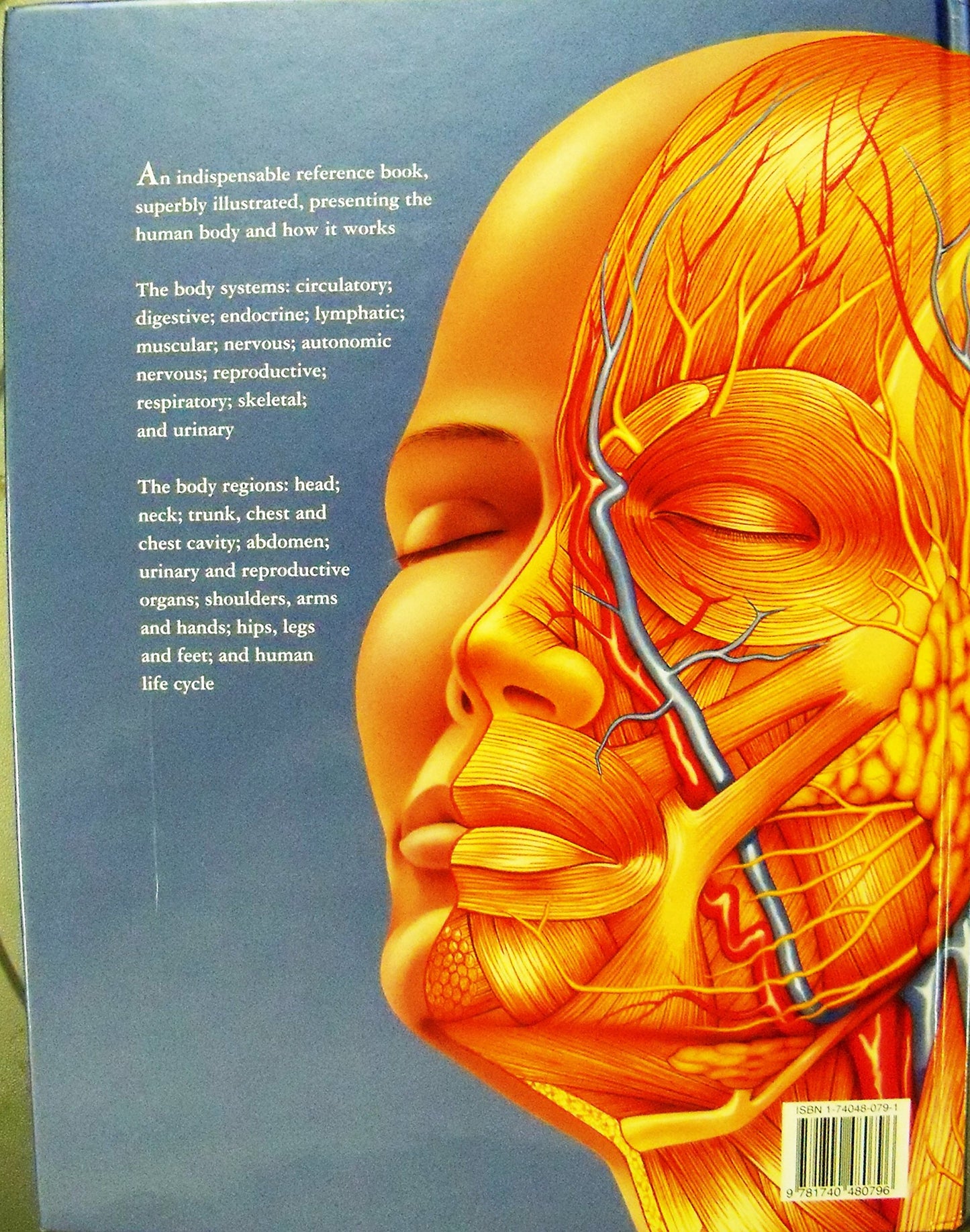 The Human Body Atlas: How the Human Body Works!