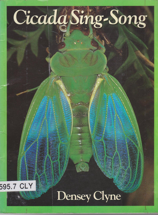 Cicada Sing-Song Clyne, Densey