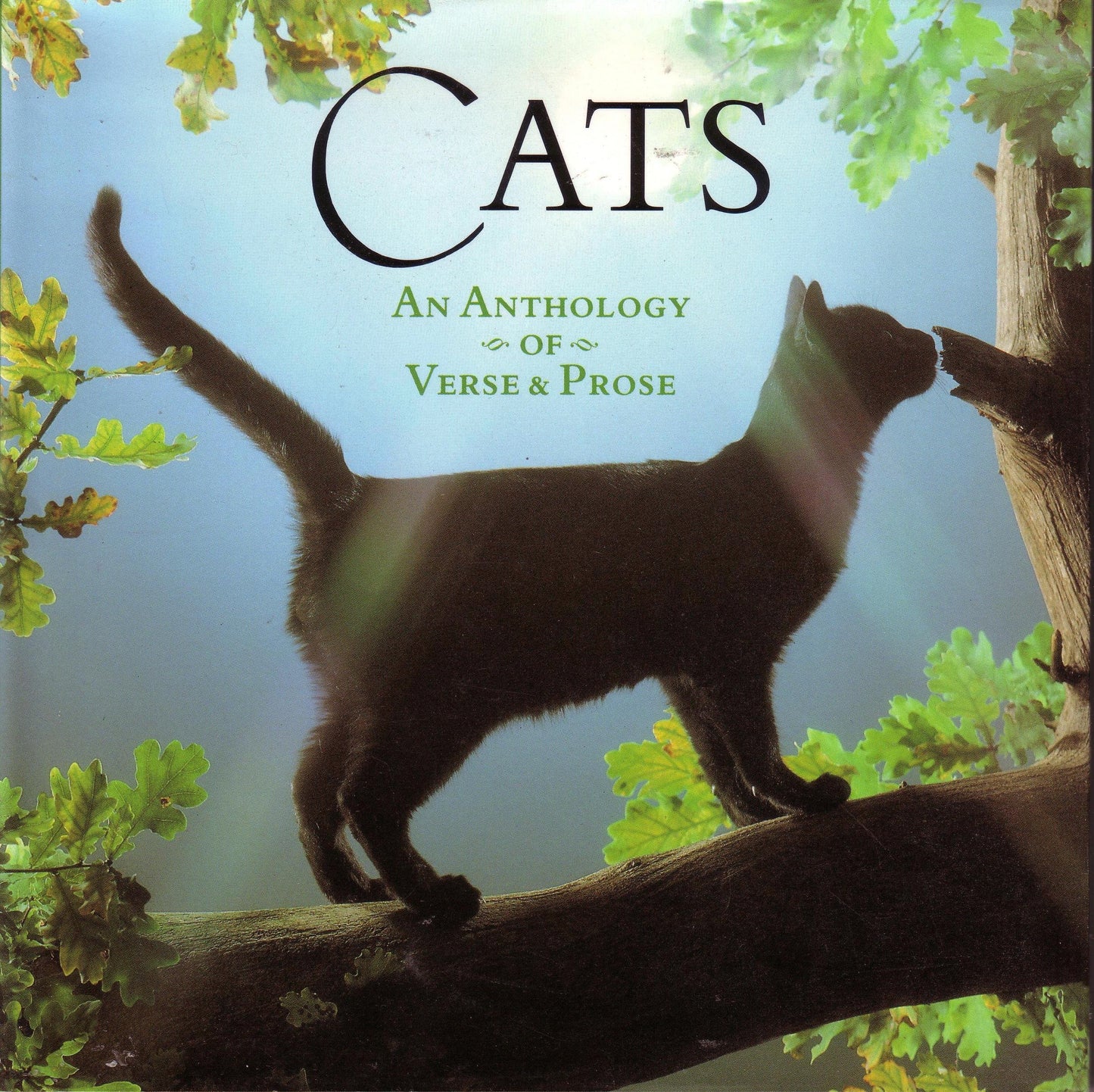 Cats Pb [Paperback] Rippon